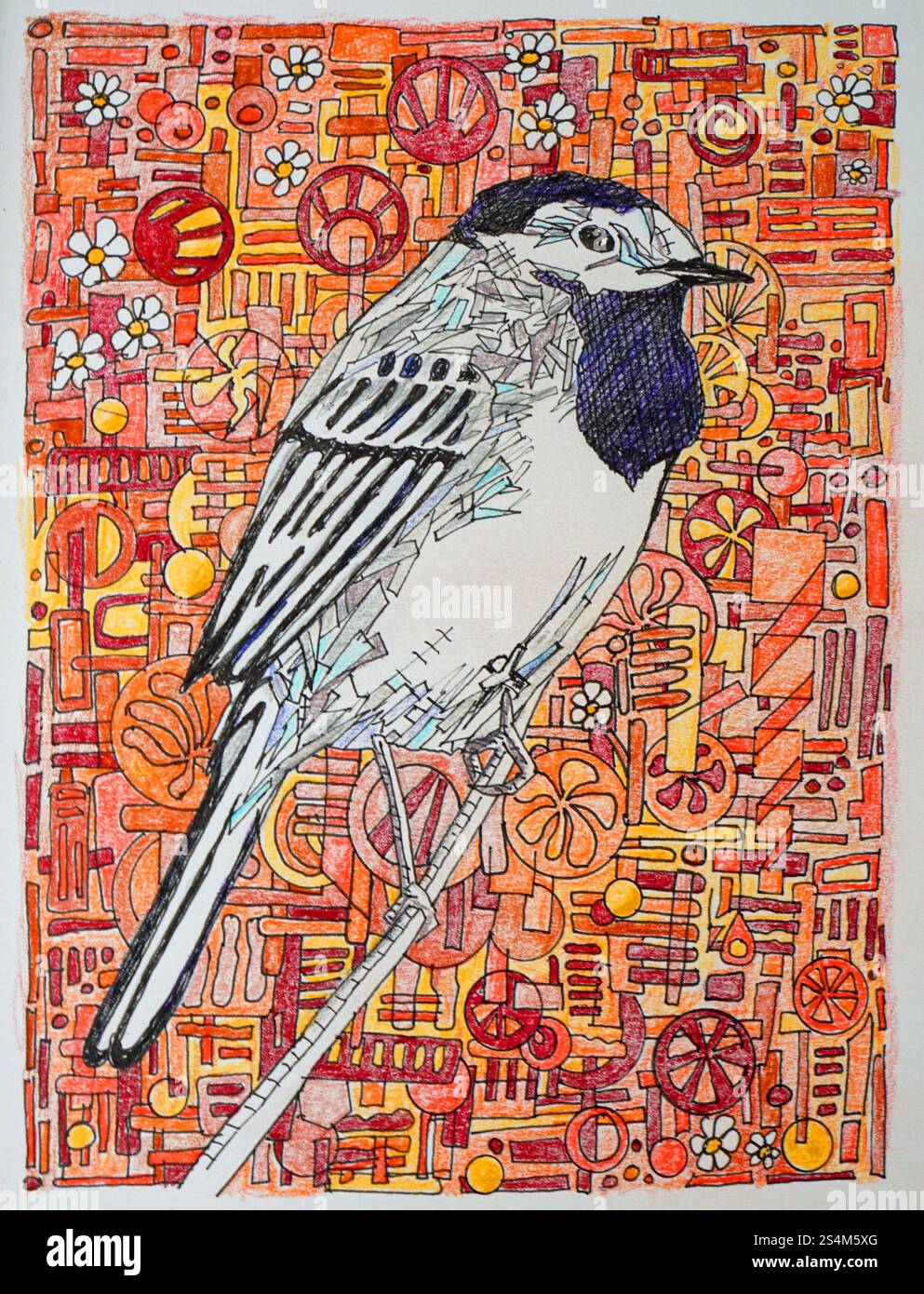 Disegno astratto di Pied Wagtail Foto Stock