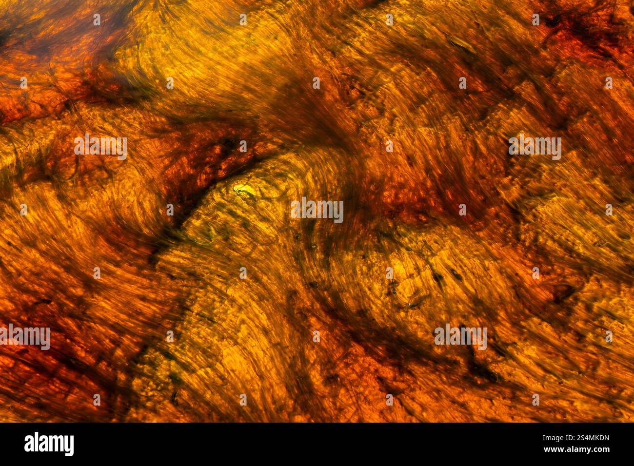 Vivaci motivi astratti creati dalle acque ricche di minerali del fiume Riotinto a Huelva, in Spagna, i vorticosi rossi e gialli raffigurano la natura unica Foto Stock
