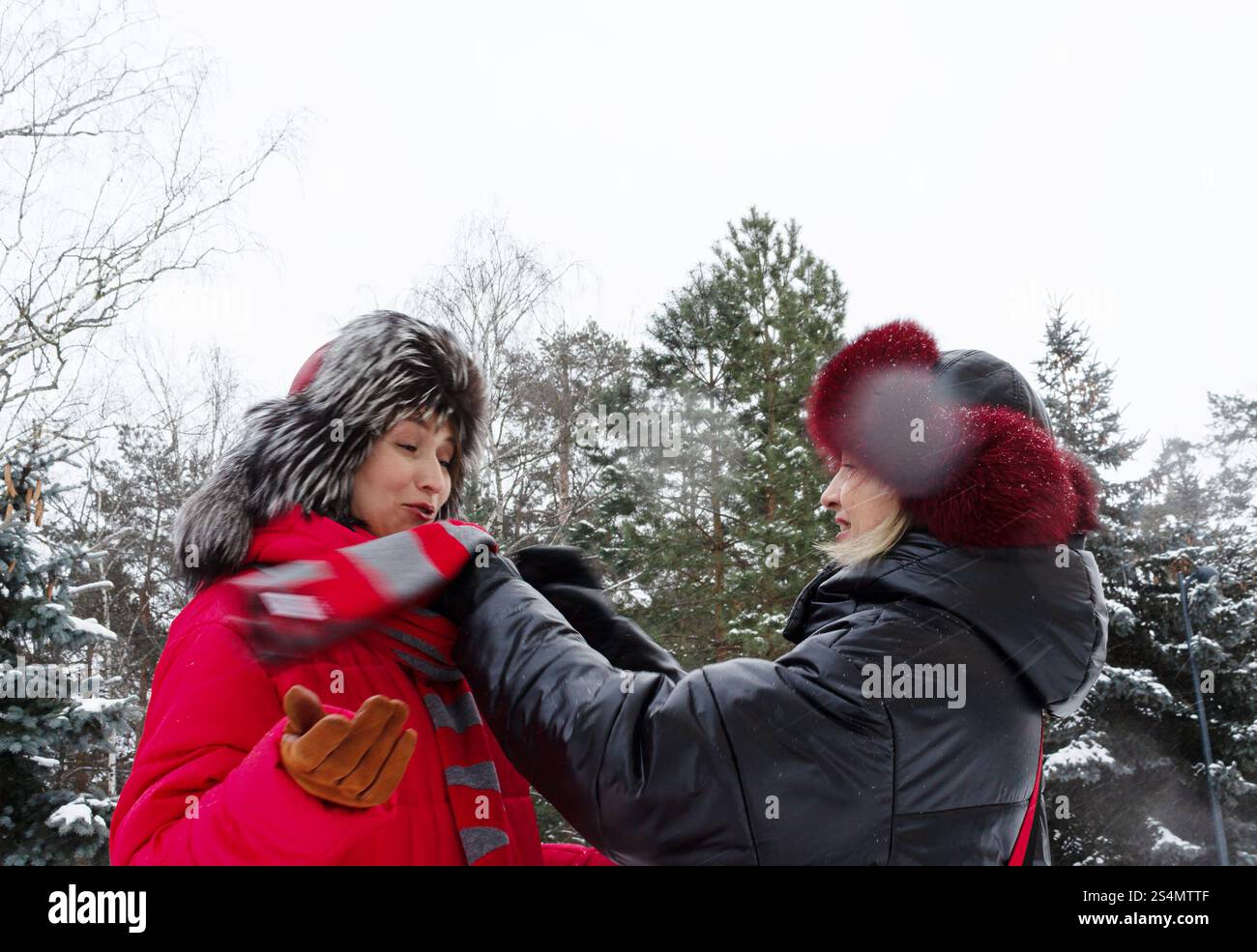 due donne in una passeggiata in un parco invernale, spazio fotocopie Foto Stock