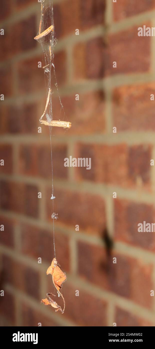 Primo piano. Fili di una vecchia rete metallica con una foglia e altri piccoli frammenti di detriti. Foto Stock