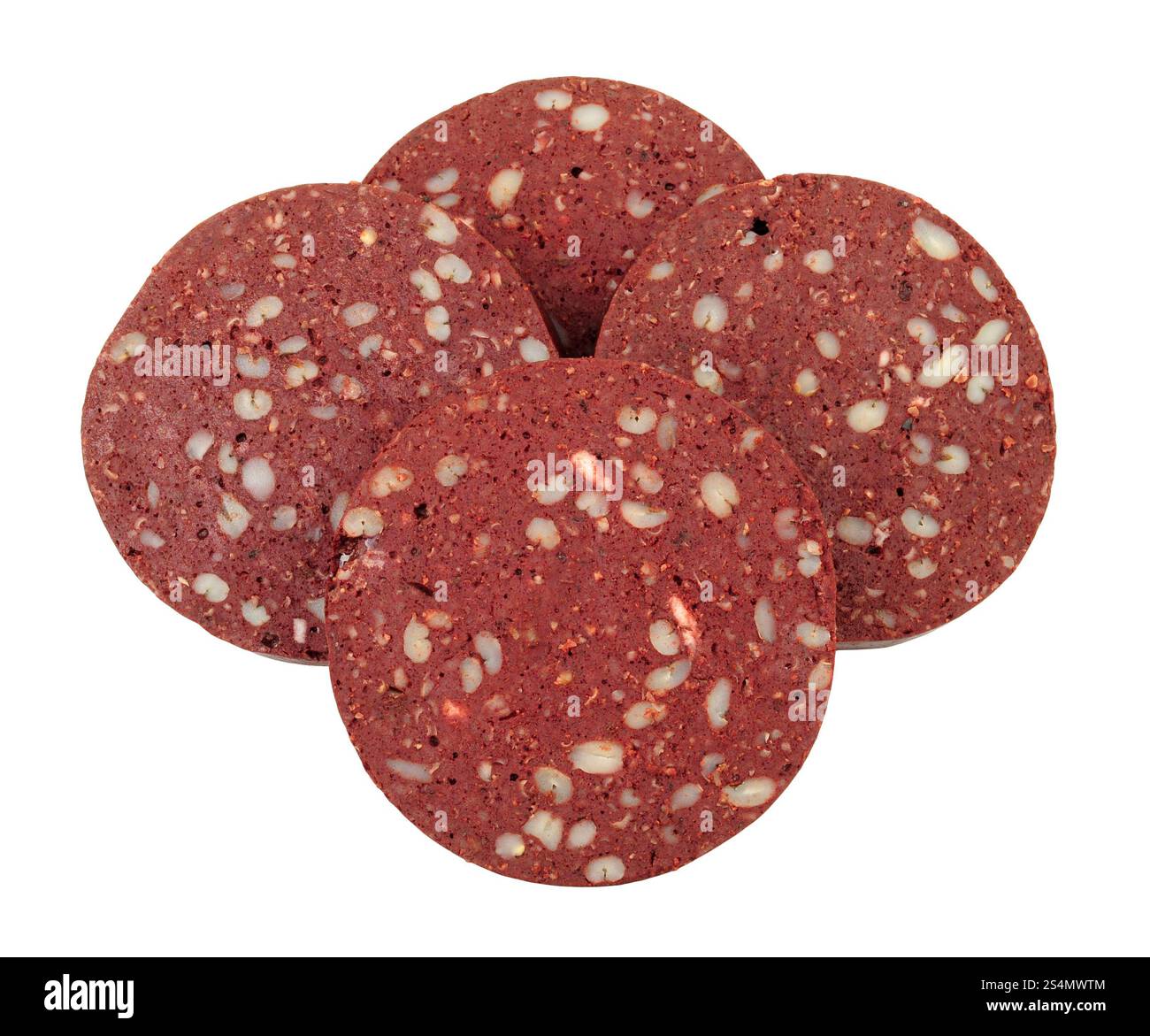 Quattro tradizionali fette inglesi di budino nero, preparate con sangue di maiale essiccato, grano, farinata d'avena e orzo isolati su sfondo bianco Foto Stock
