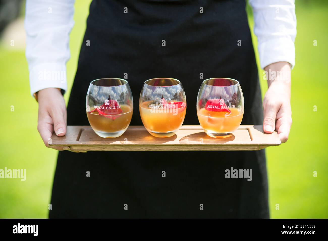 Cocktail di lusso - bevande per feste in giardino Foto Stock