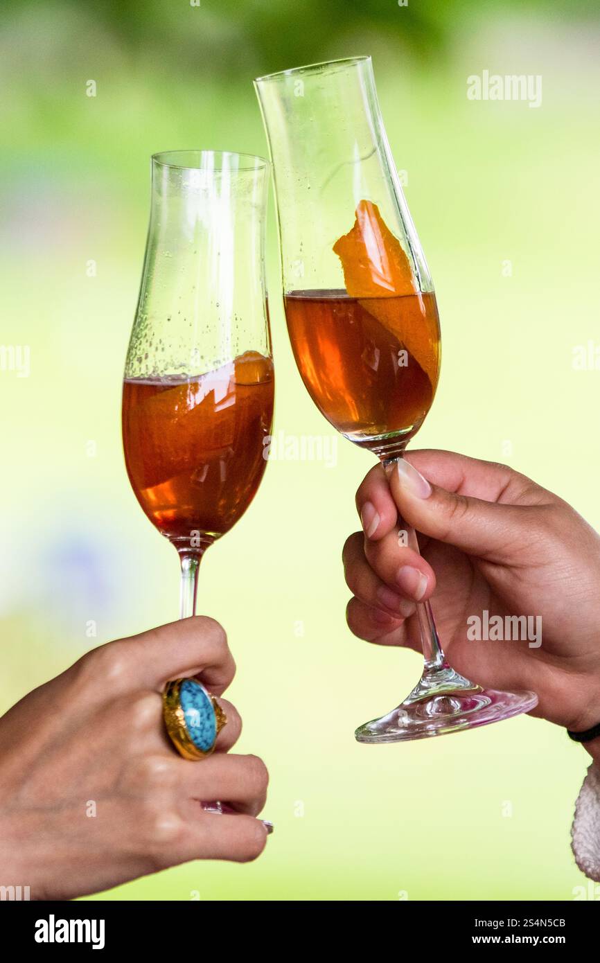 Cocktail di lusso - bevande per feste in giardino Foto Stock