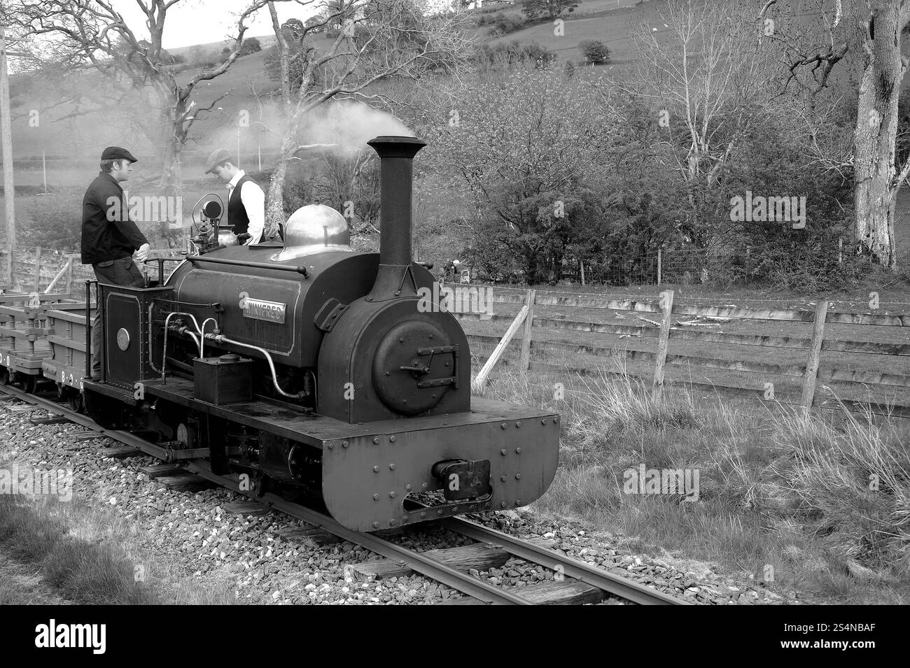 'Winifred' vicino a Dolfawr attraversando con un treno di carri ardesia. Foto Stock