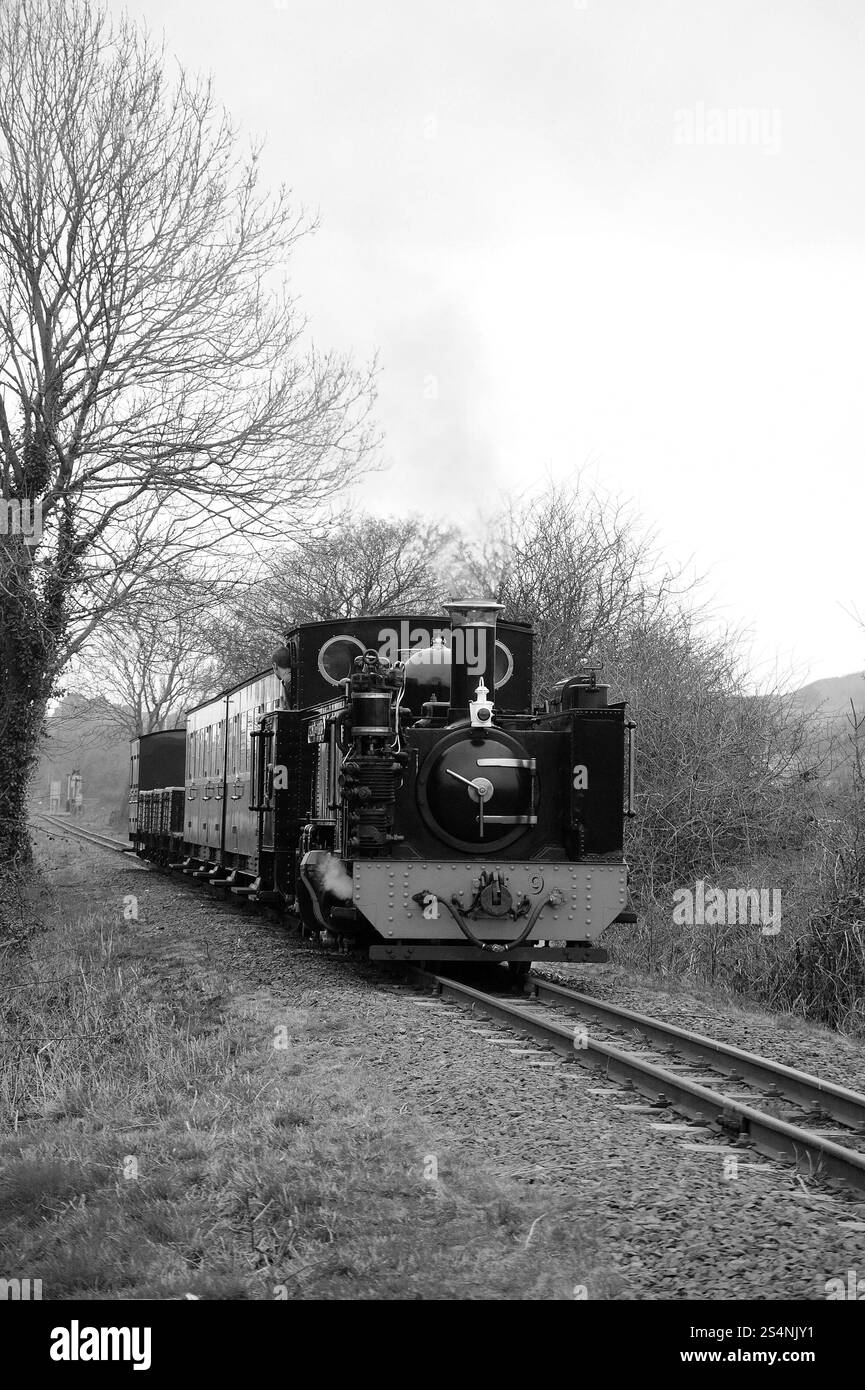 "Prince of Wales" a Llanbadarn Fawr con un treno misto. Foto Stock