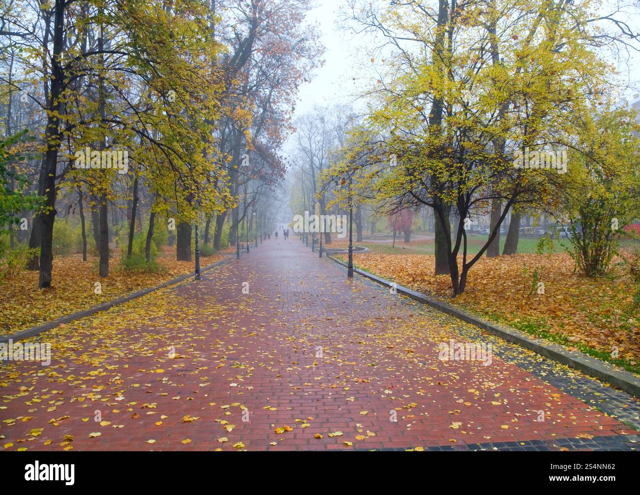 Avenue in autunno scialbo city park (popoli è irriconoscibile) Foto Stock