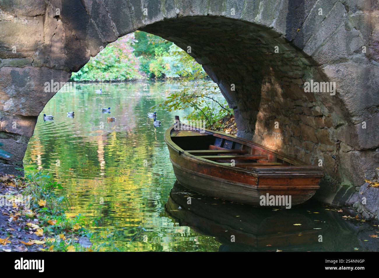 Acqua di stagno con superficie di riflessione di alberi colorati, nuoto uccelli e barca sotto arco in autunno park Foto Stock