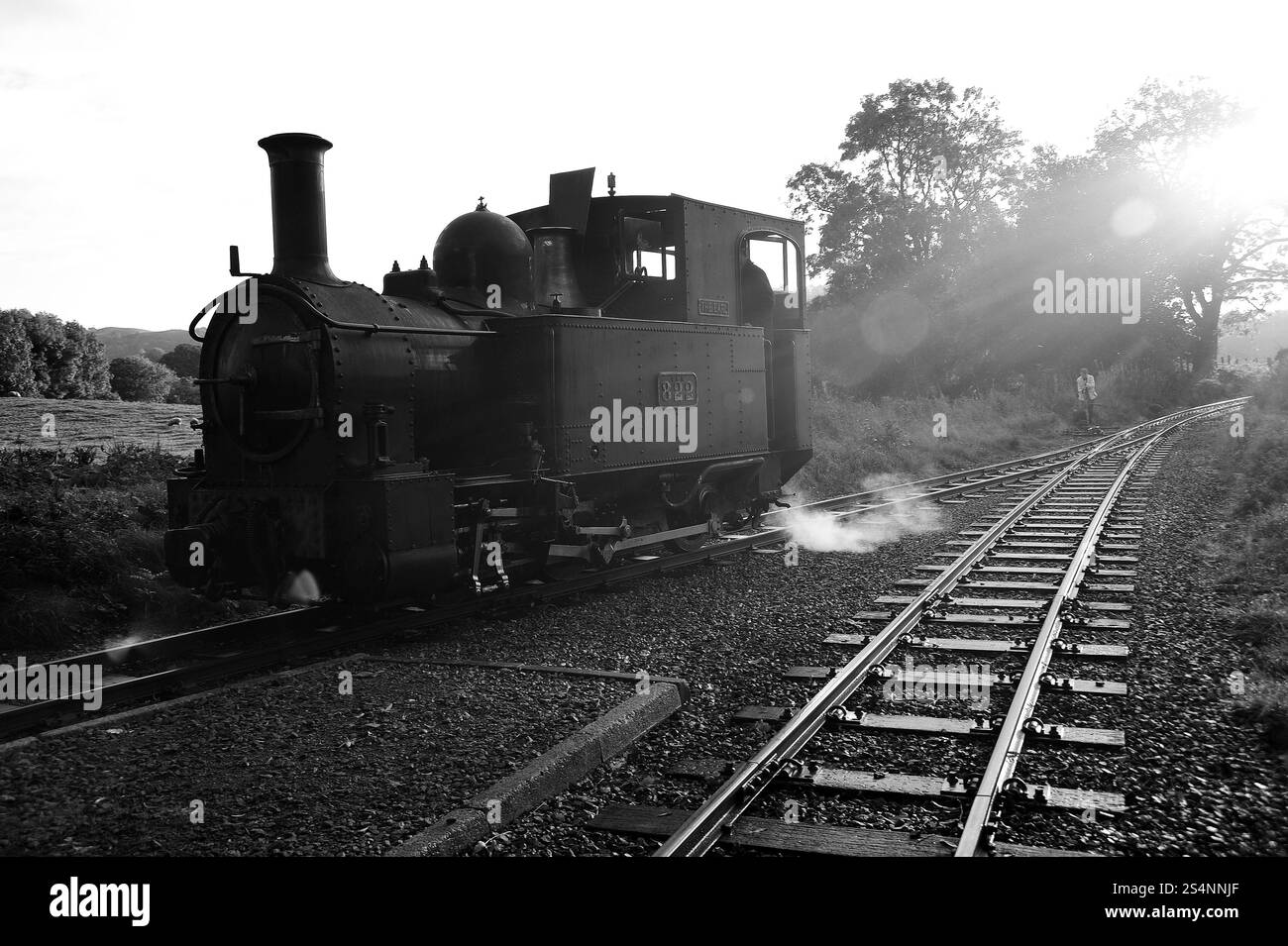 "Il Conte" a Cyfronydd. Foto Stock