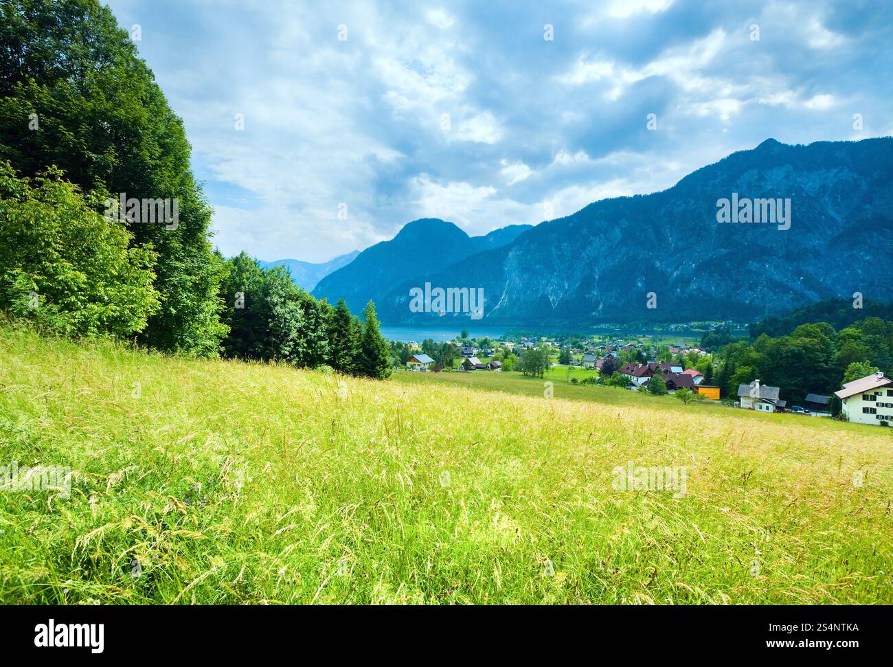 Bella estate lago alpino Hallstatter vedere vista (Austria) Foto Stock