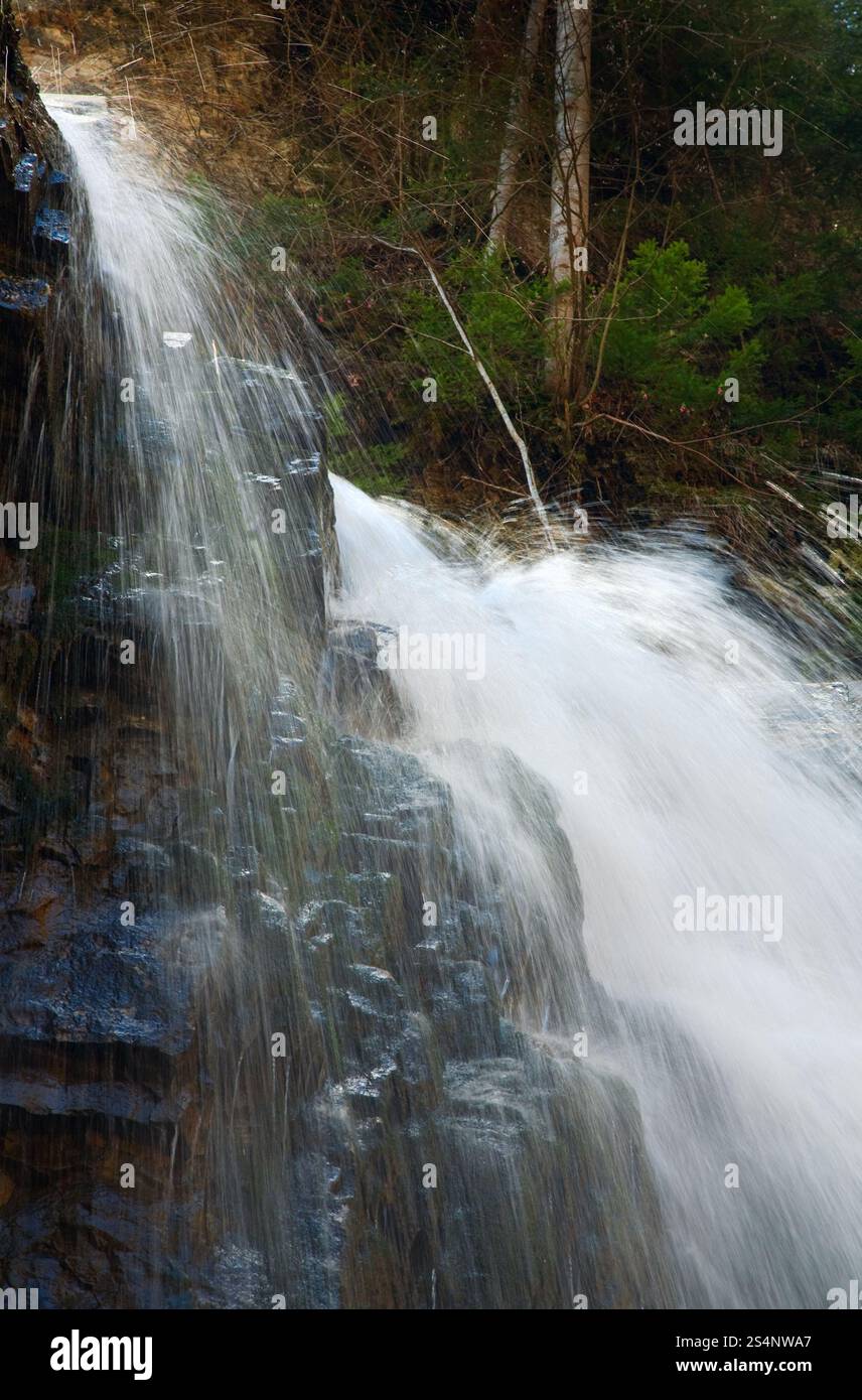 La parte superiore di alta montagna cascata nel buio selvaggia foresta dei Carpazi (Manjava, Ivano-Frankivsk Regione, Ucraina). Foto Stock