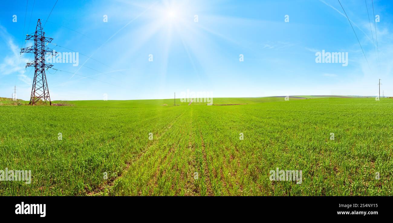 Panorama mattutino del campo di cereali verde di primavera, cielo blu con area soleggiata e tracce di aerei (linea ad alta tensione). Immagine composta da quattro scatti. Foto Stock