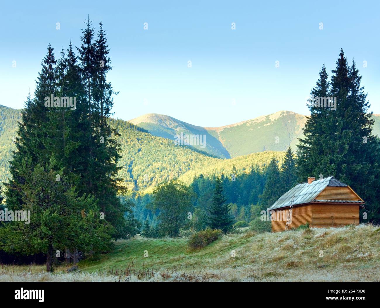 Mattina nebbiosa autunno paesaggio di montagna con casa in legno sul versante della montagna (Ivano-Frankivsk Regione, Ucraina) Foto Stock