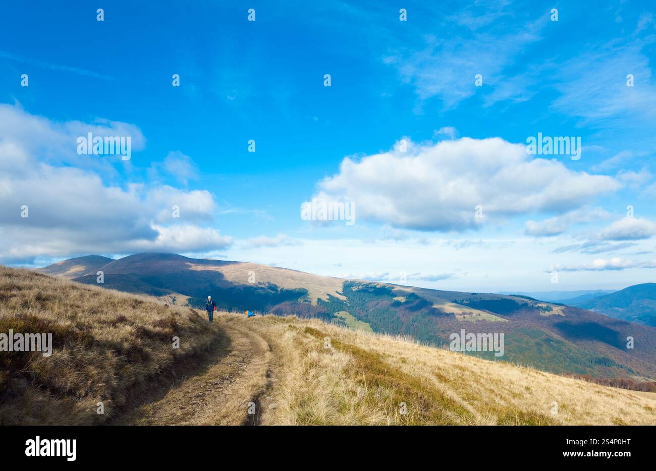 Vista sulle montagne nebbiose d'autunno con strada di campagna e donna (Carpazi Mt's, Ucraina). Foto Stock