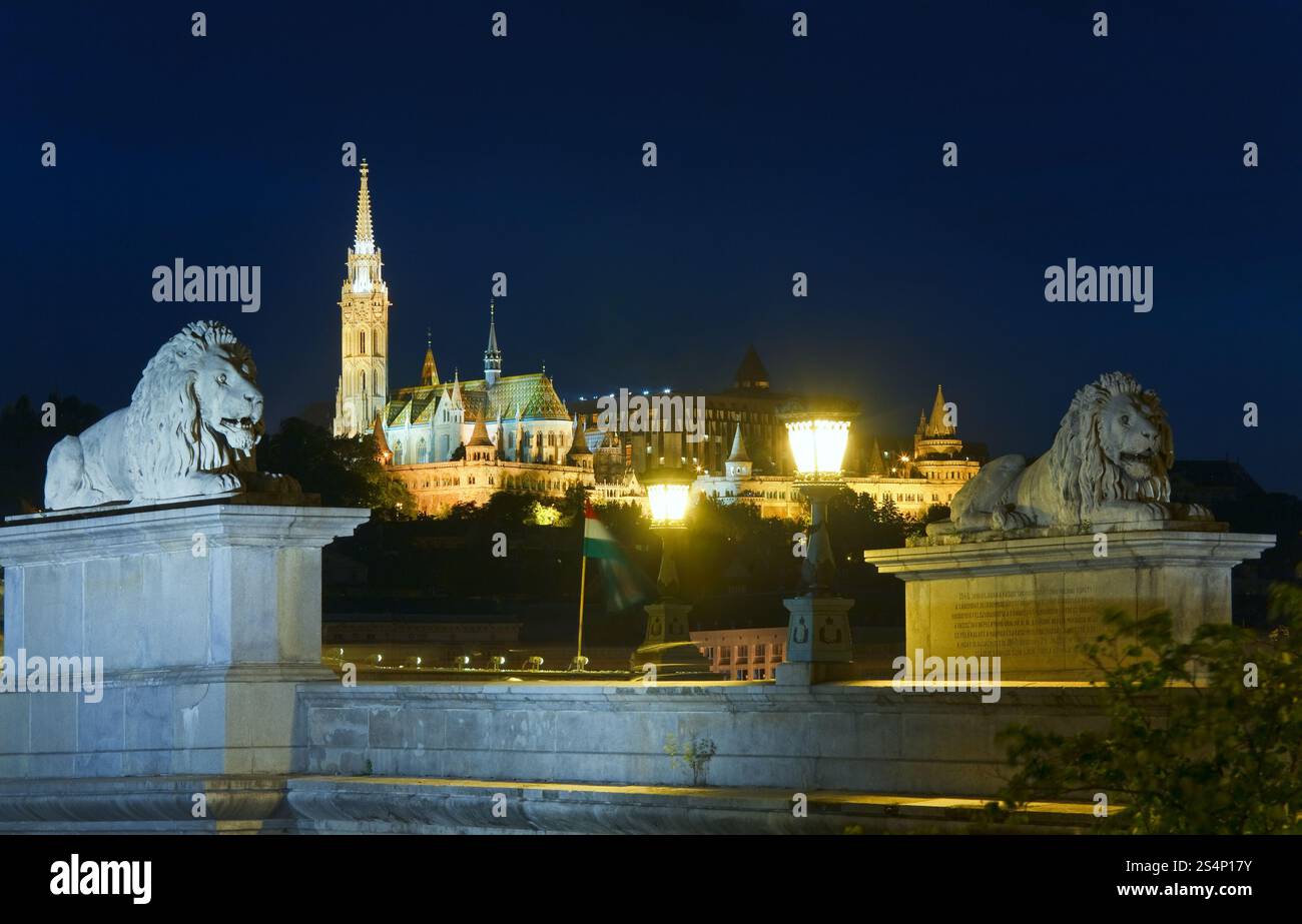 Punto di riferimento ungherese, Budapest Chain Bridge vista notturna. Lunga esposizione. Foto Stock