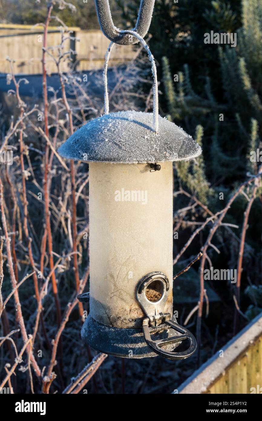 Un alimento per uccelli quasi vuoto in una mattina fredda e ghiacciata d'inverno. Pronto per essere riempito di semi. Foto Stock
