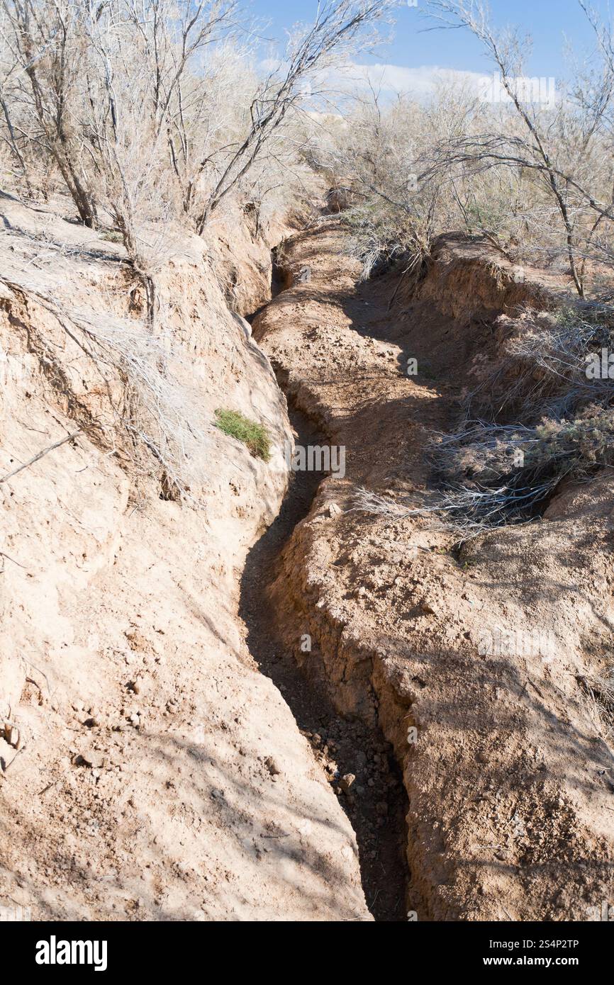 Essiccato vecchio alveo del fiume Giordano in Terra Santa e Giordania Foto Stock