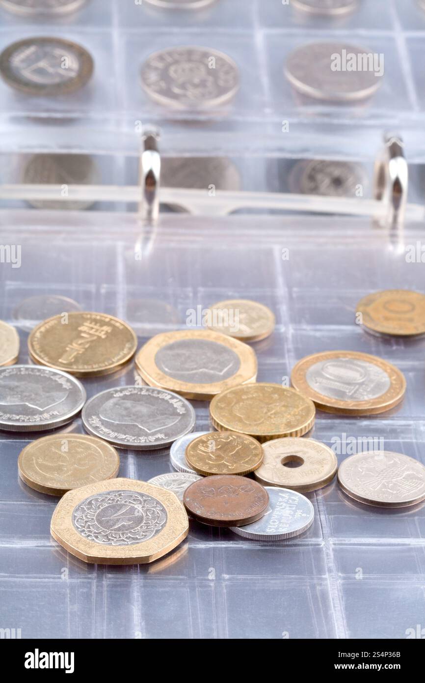 Pagina di numismatica album con diverse monete Foto Stock