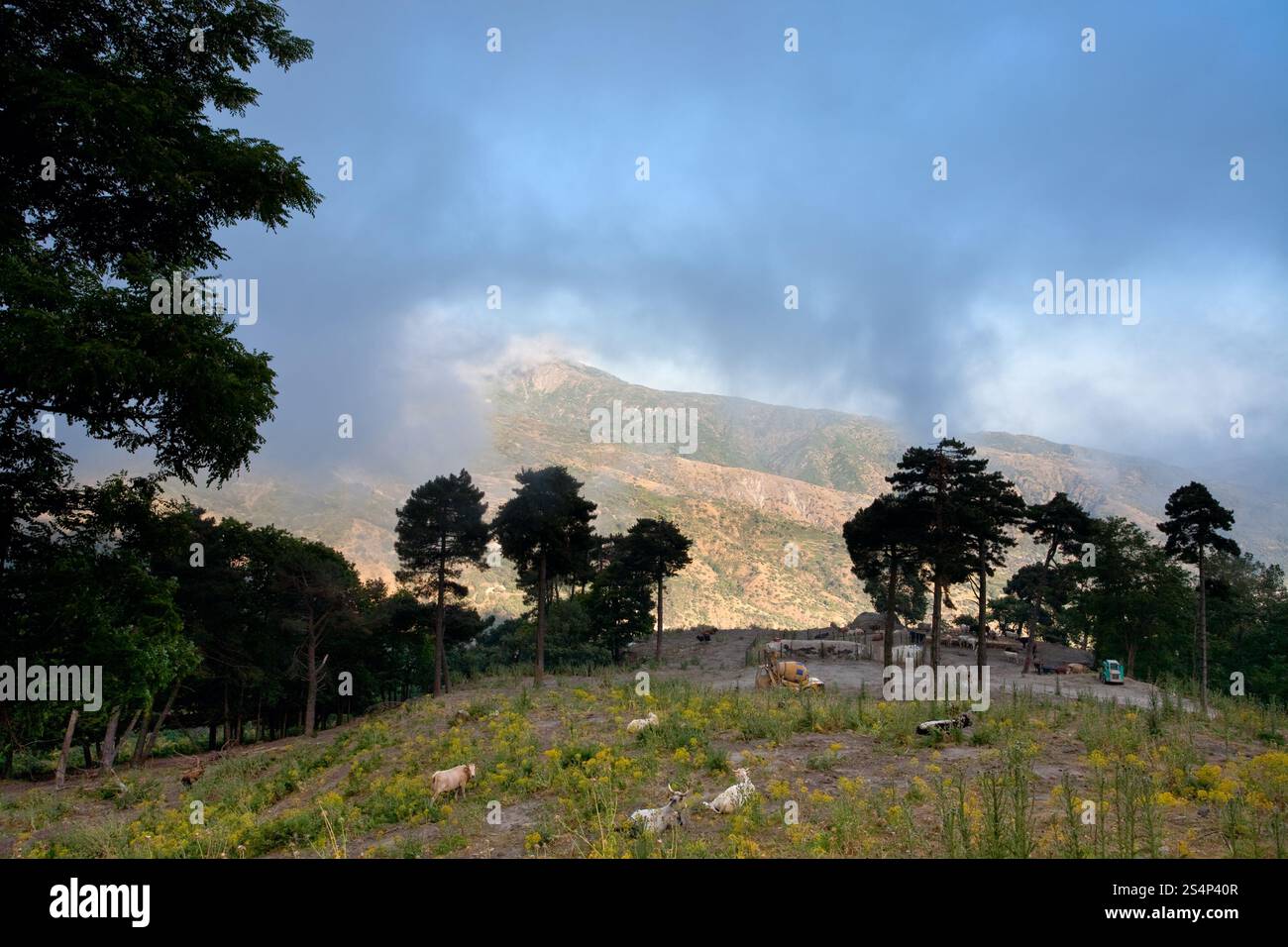 Pascoli di montagna sopra le nuvole vicino alla città di Novara di Sicilia , Italia Foto Stock