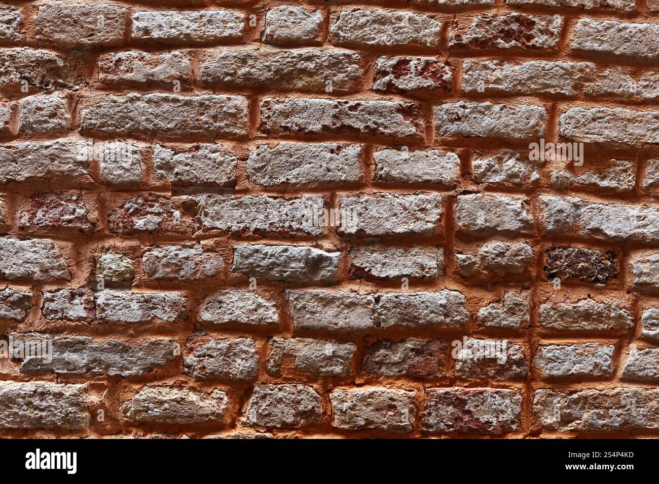 La texture della parete veneziano. Venezia. Italia.Venetto area. Foto Stock