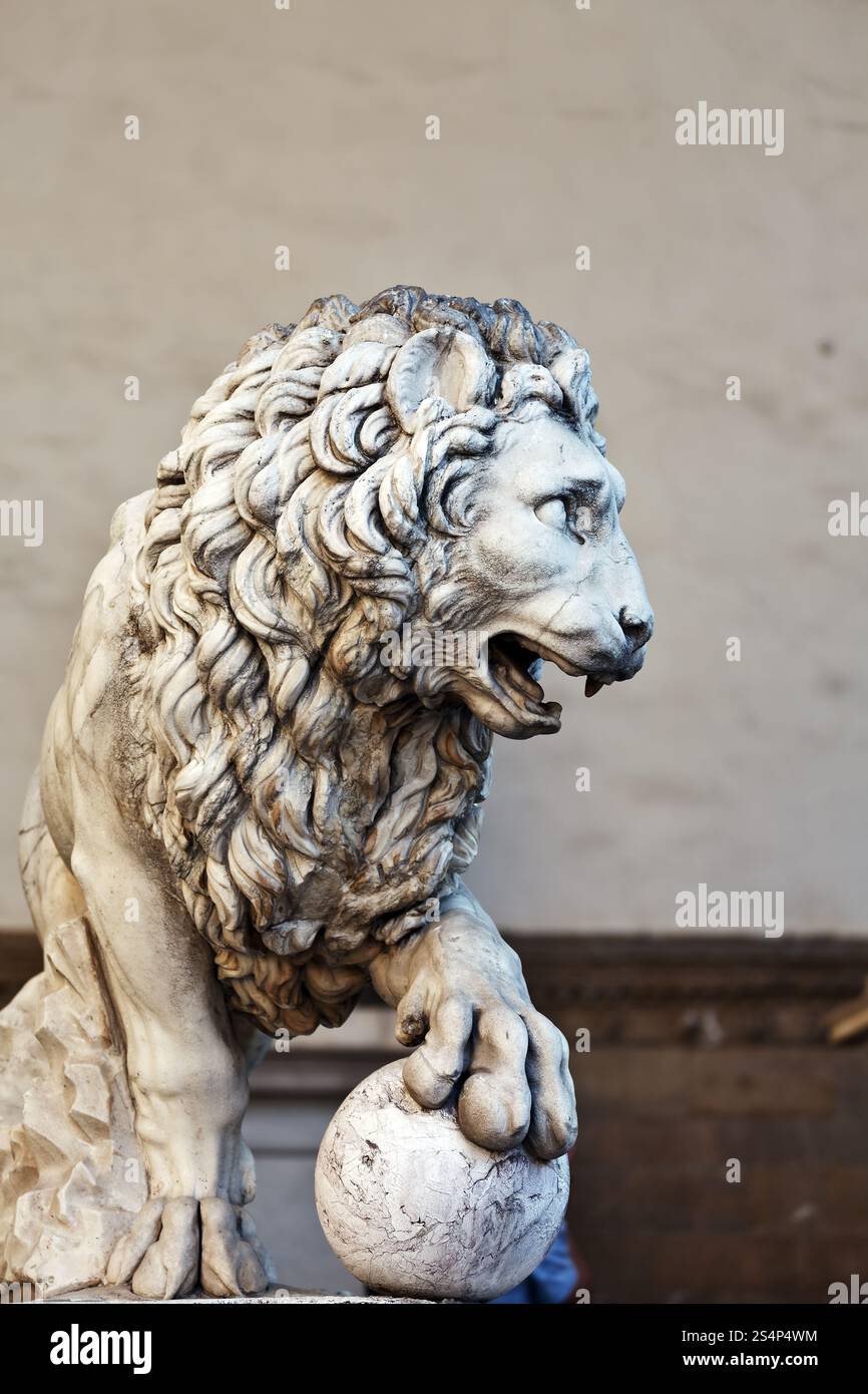 Llion vicino a Palazzo Vecchio a Firenze. L'Italia. L'Europa. Foto Stock