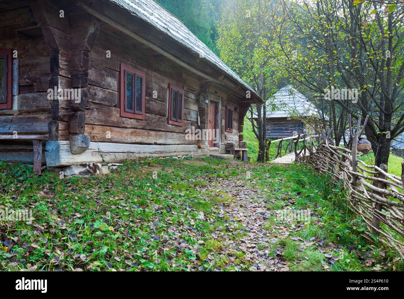 Vecchia casa in legno in autunno del villaggio di montagna (Carpazi , Ucraina). Foto Stock