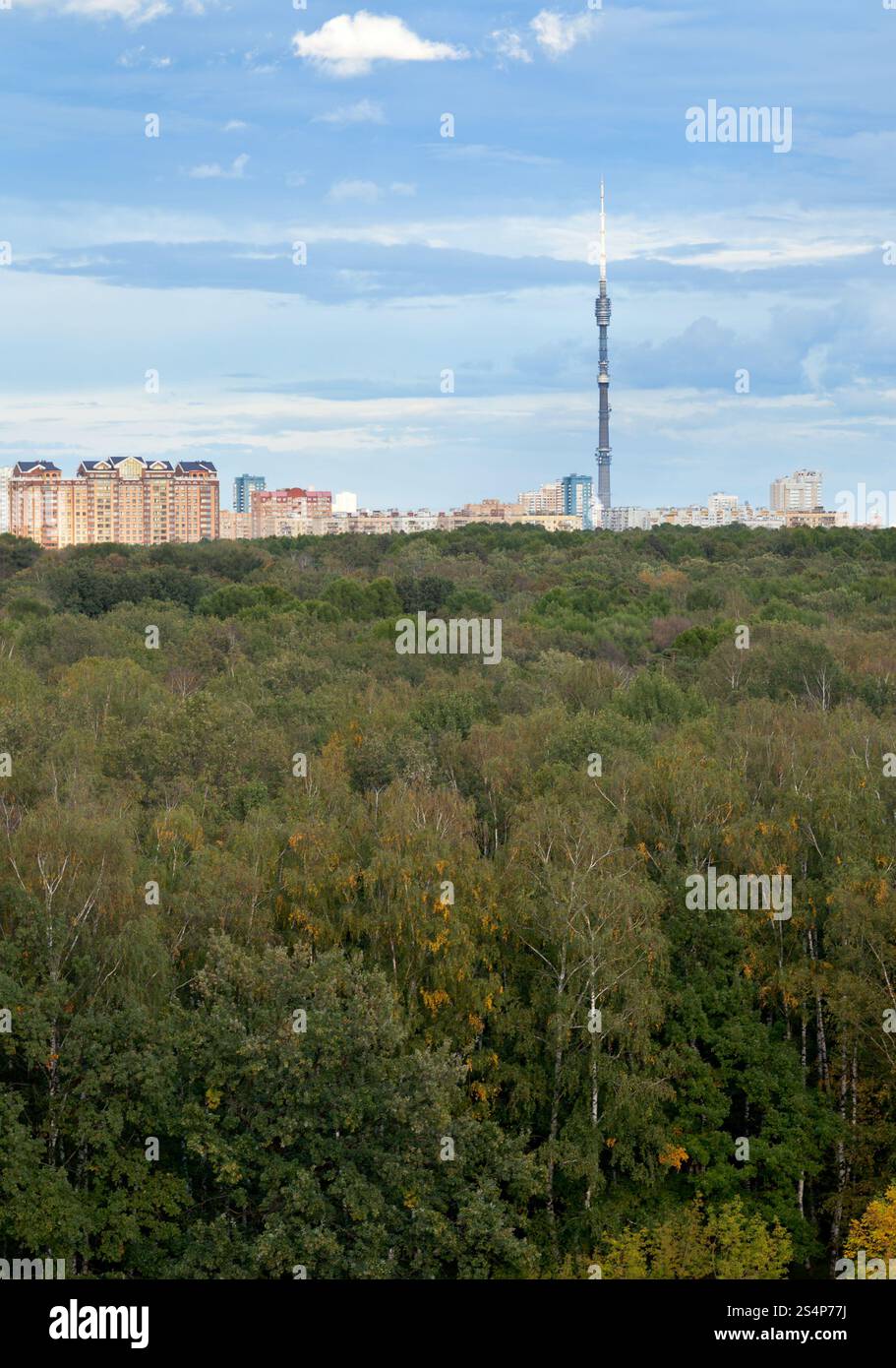 In autunno il parco urbano sotto il cielo blu Foto Stock