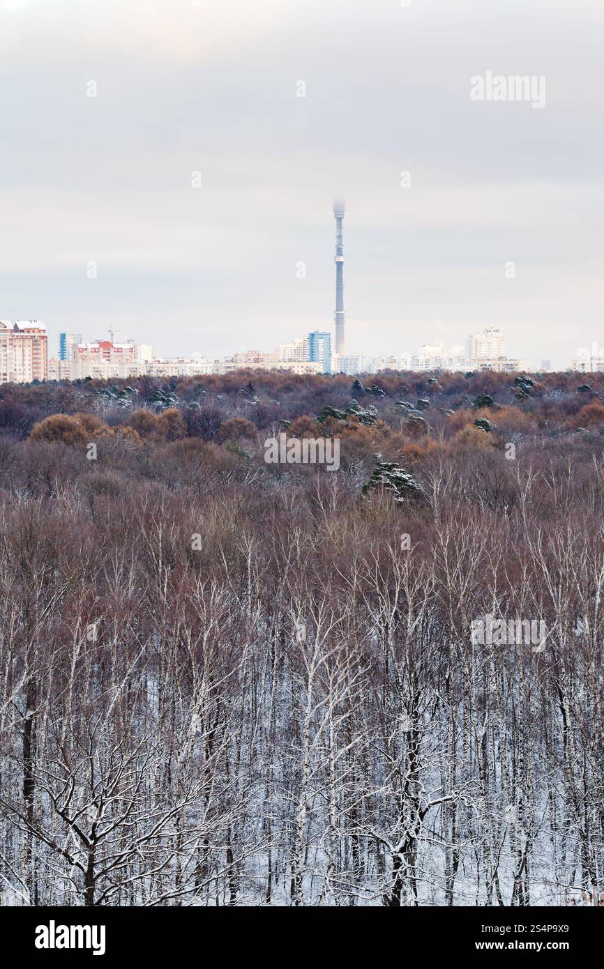Vista al di sopra della prima neve nel parco urbano in giornata invernale Foto Stock