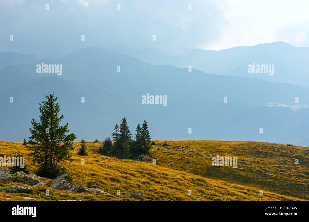 Estate vista dalla strada di Transalpina di Energia (Carpazi Meridionali, Romania). Foto Stock