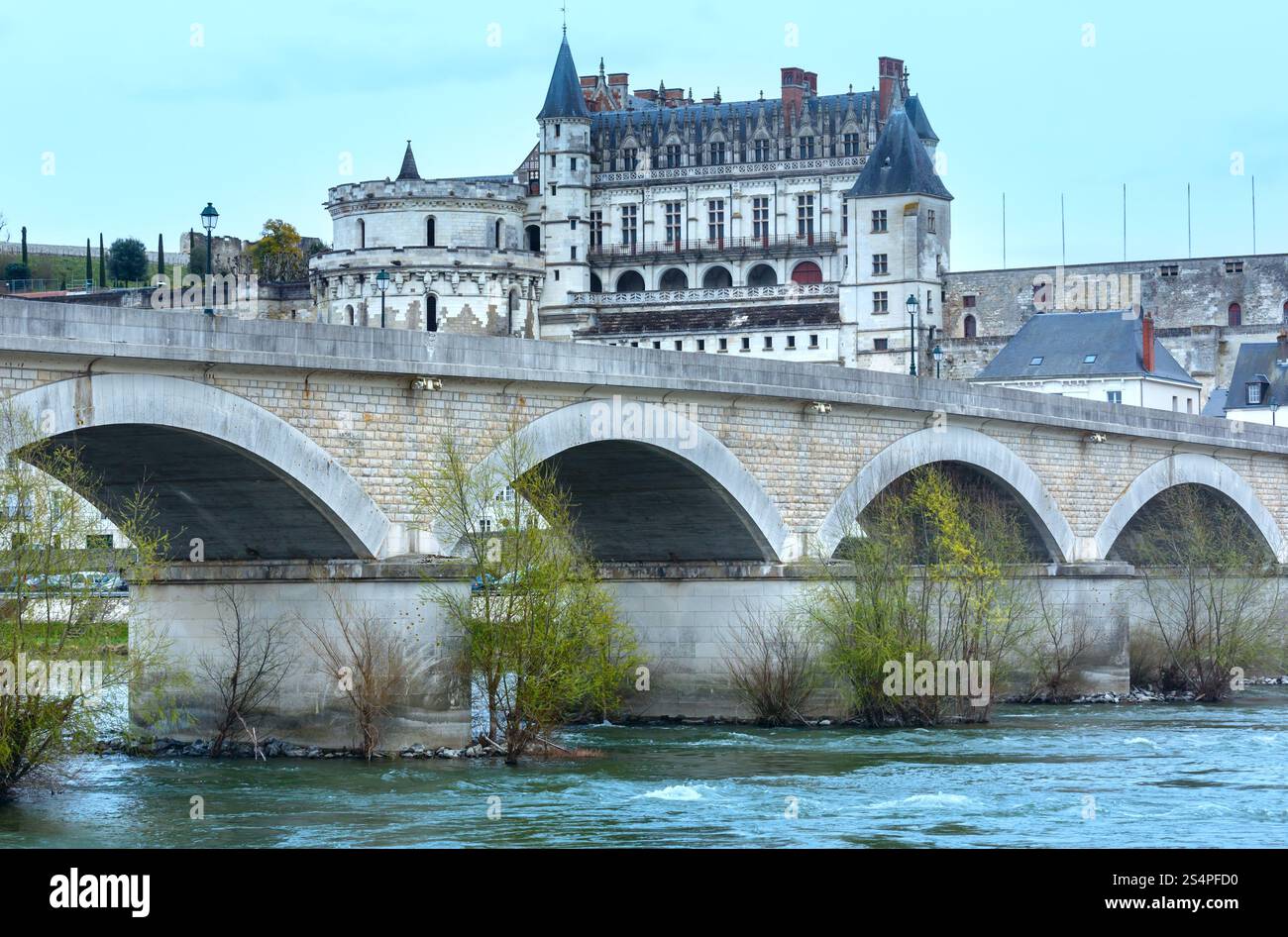 Castello reale di Amboise sulle rive del fiume Loira (Francia). Molla di vista urbano. Foto Stock