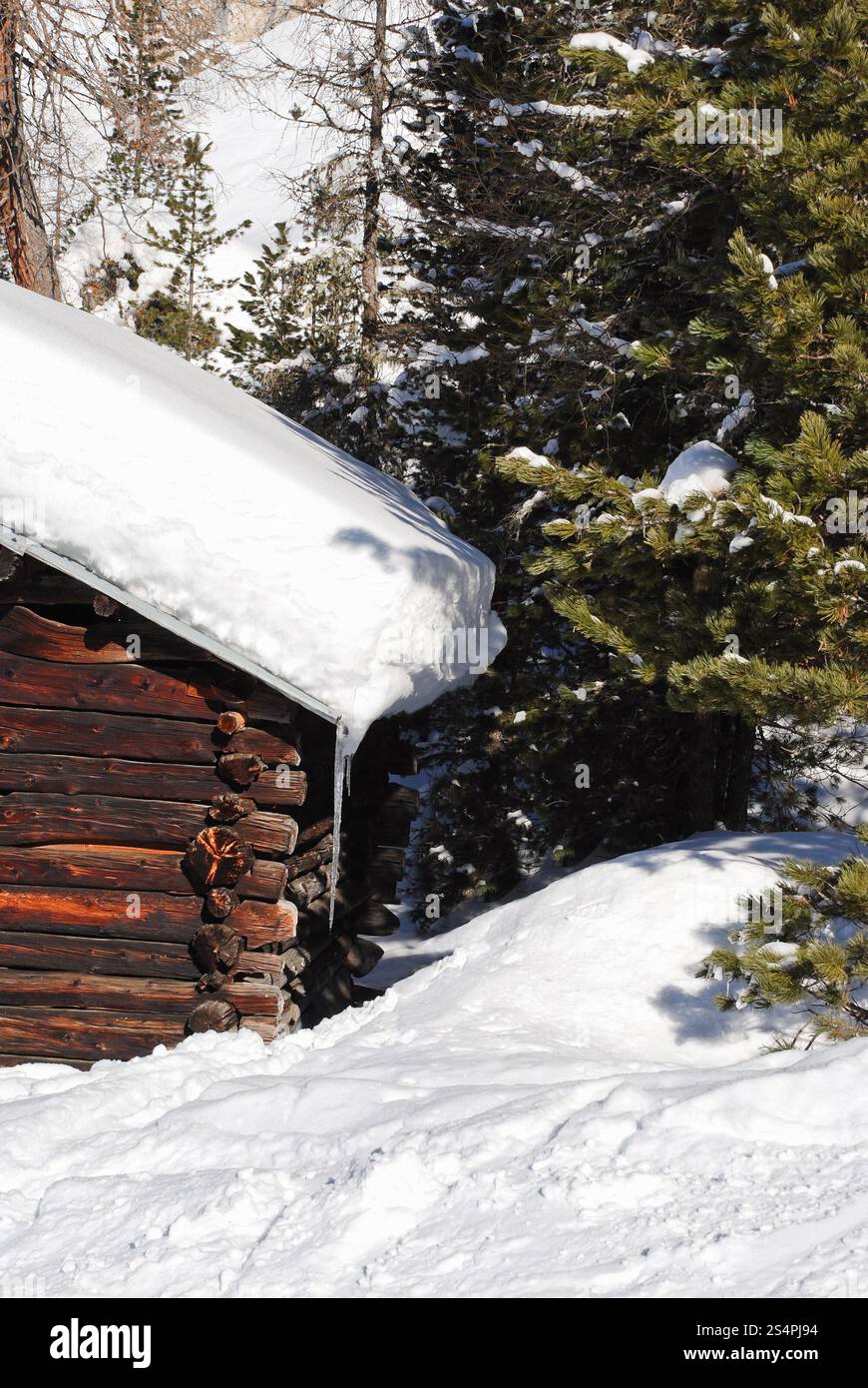 Il cumulo di neve sulla casa in legno del tetto e abete in Val Gardena, Dolomiti, Italia Foto Stock