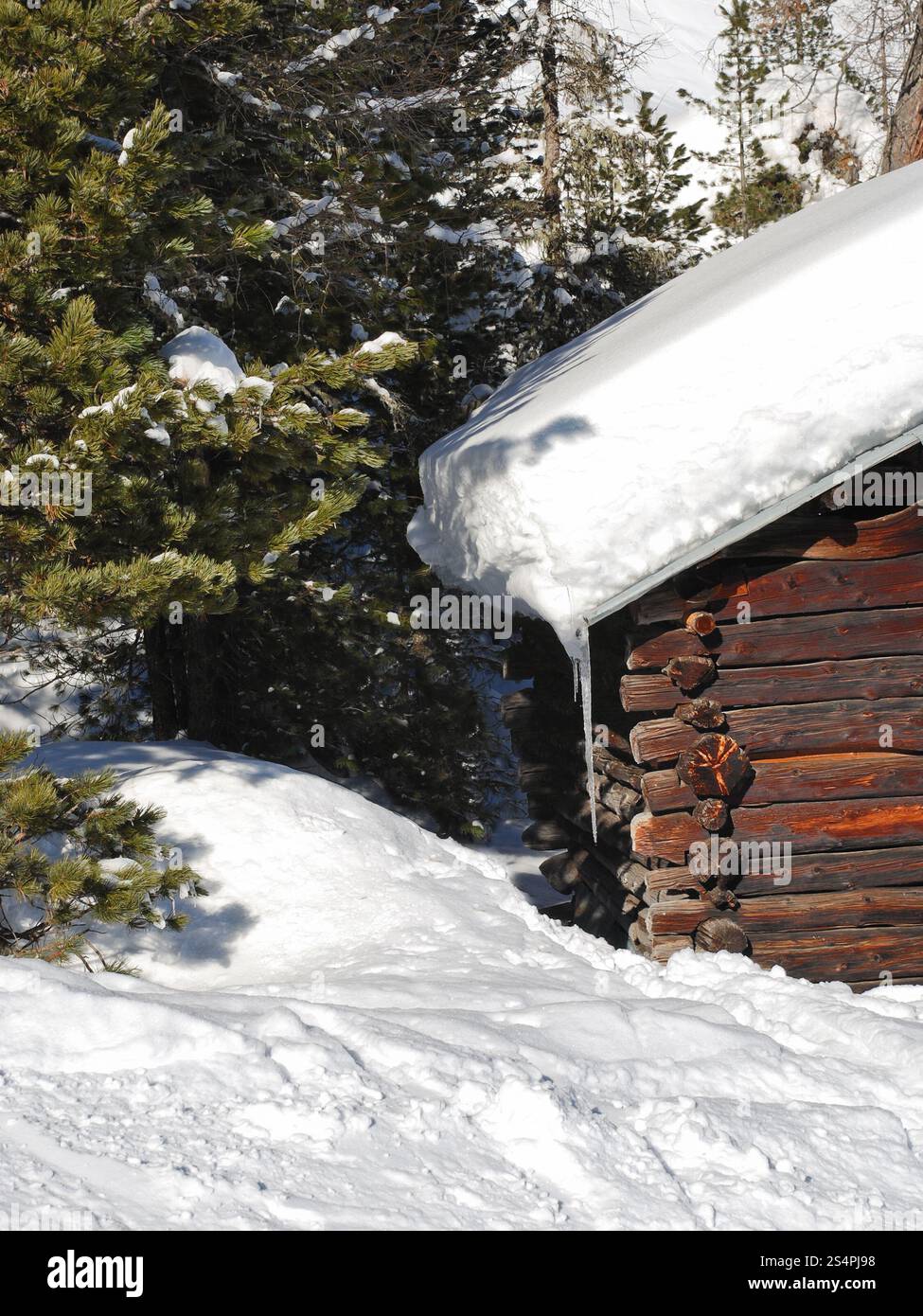 Coperte di neve casa in legno e abete in Val Gardena, Dolomiti, Italia Foto Stock