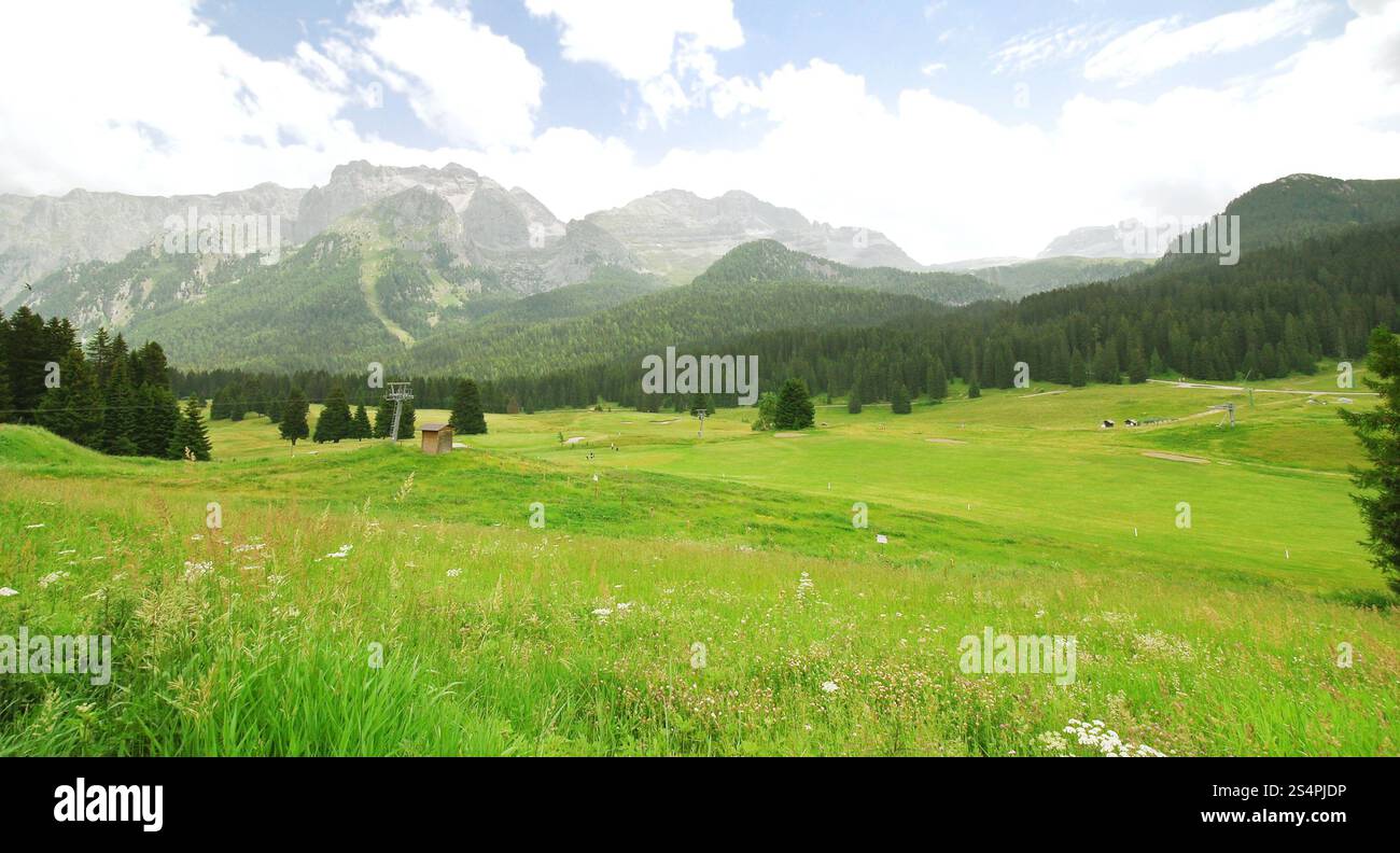 Valle Verde nelle Dolomiti in giornata estiva, Italia Foto Stock