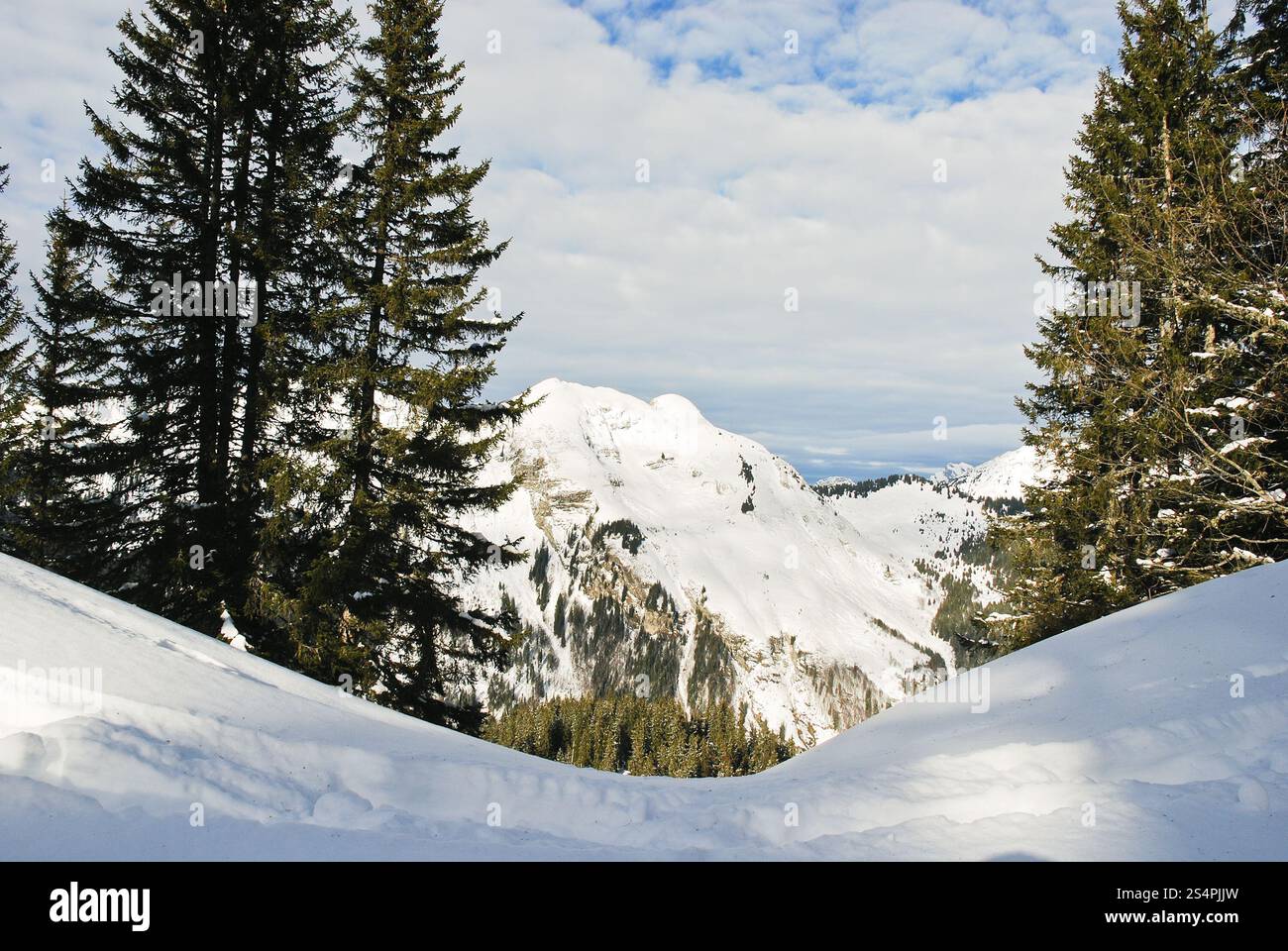 Vista della neve montagne in Portes du Soleil regione, Morzine - Avoriaz, Francia Foto Stock