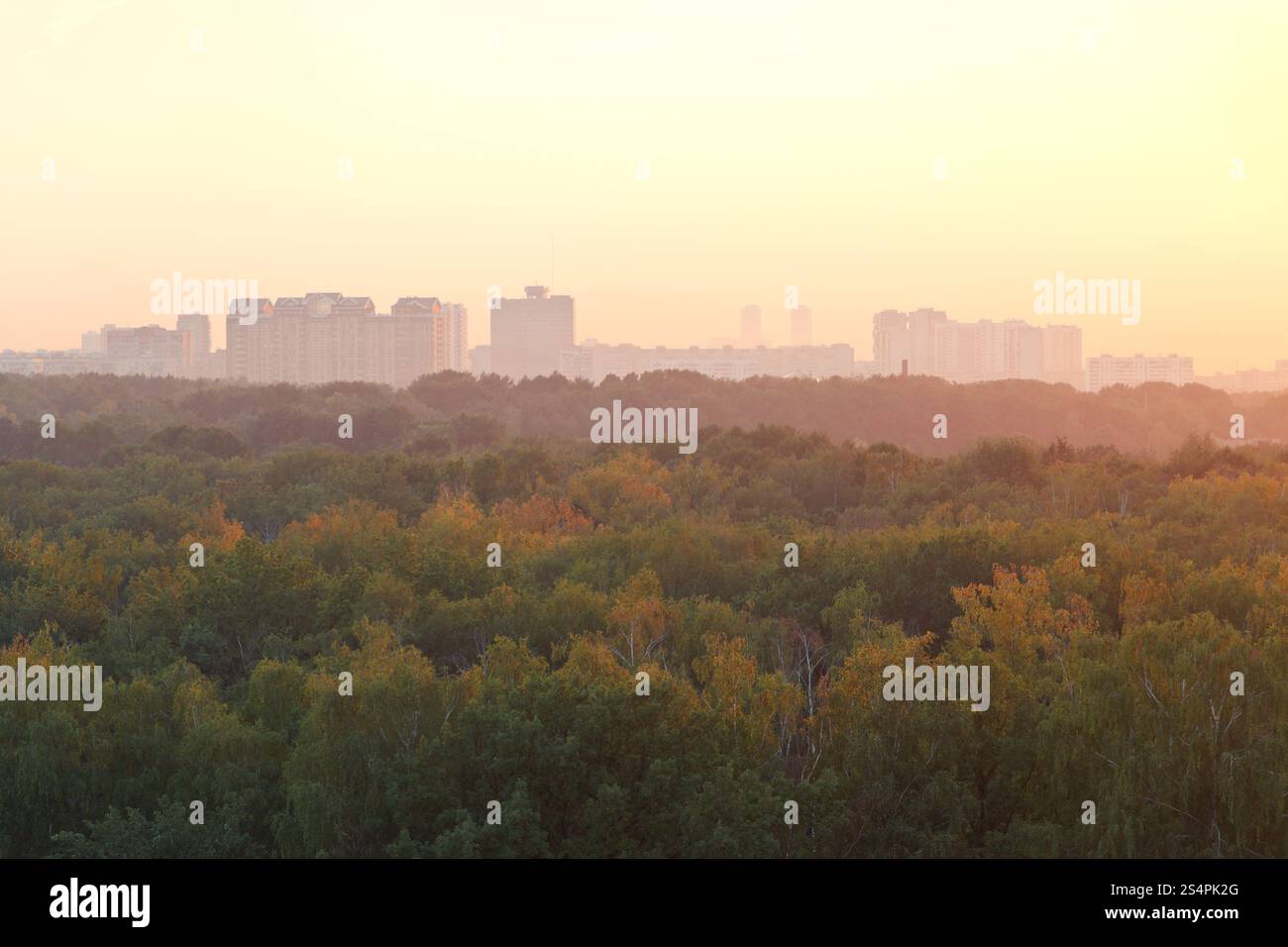 Il caldo estivo alba sulle case di urbano e il parco di prima mattina Foto Stock