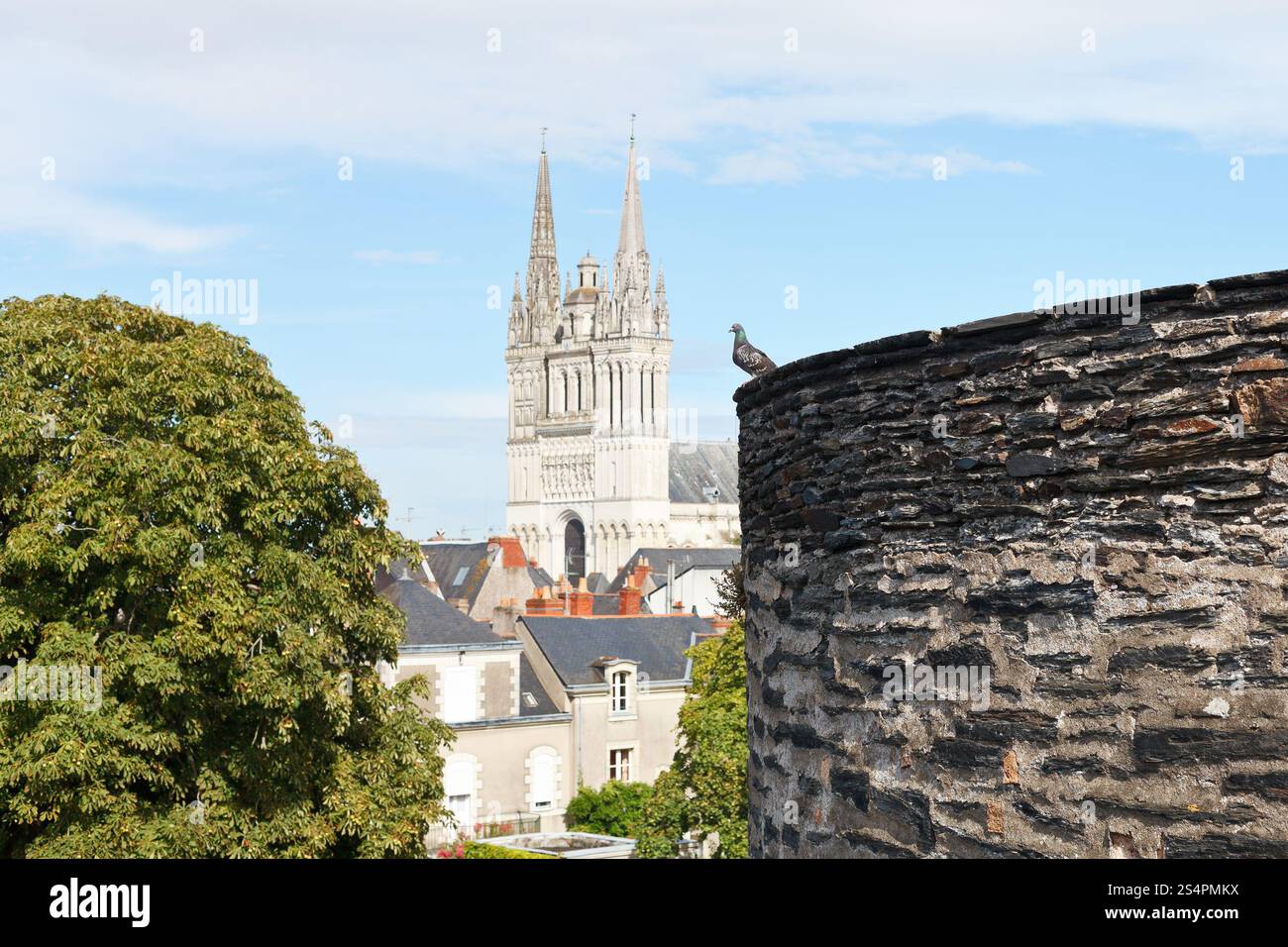 Muro di castello e Saint Maurice Cattedrale nella città di Angers, Francia Foto Stock