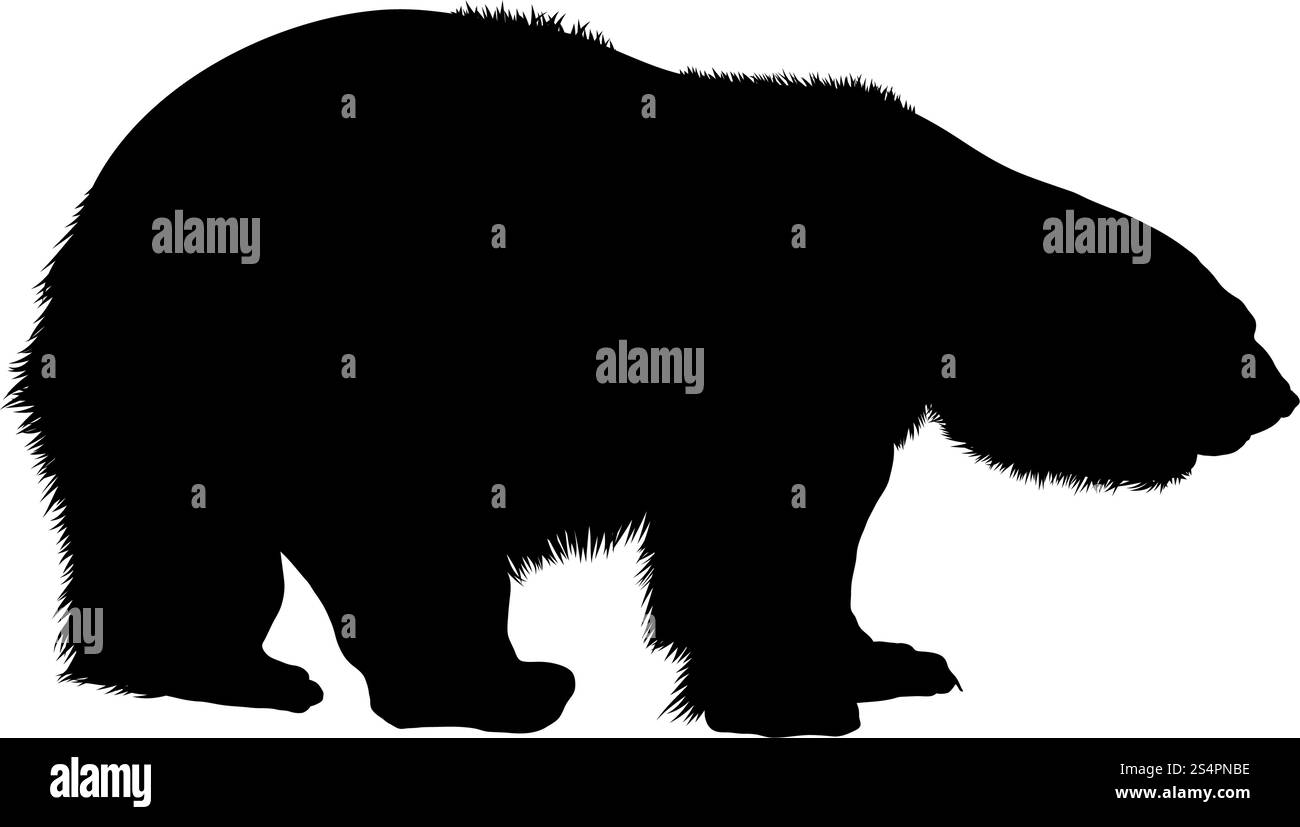 Orso polare Silhouette. Altamente dettagliata Design liscio. Illustrazione Vettoriale. Illustrazione Vettoriale
