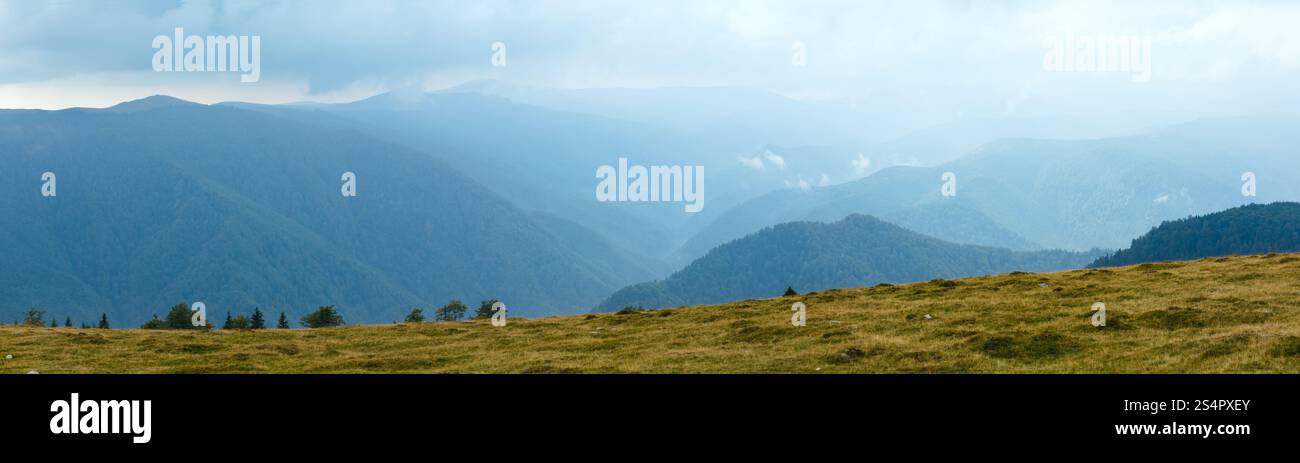 Estate vista dalla strada di Transalpina di Energia (Carpazi Meridionali, Romania). Foto Stock