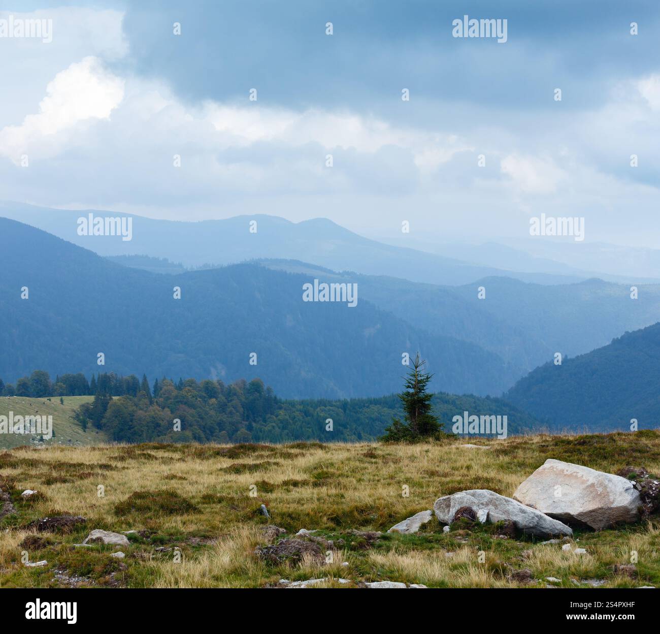 Estate vista dalla strada di Transalpina di Energia (Carpazi Meridionali, Romania). Foto Stock