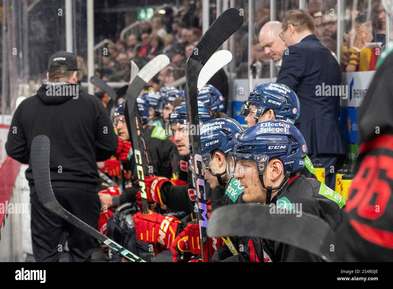 12.01.2025, Eishockey: Penny DEL, Saison 2024/2025, 36. Spieltag, Duesseldorfer EG - Eisbaeren Berlin im PSD Bank Dome a Duesseldorf. Blick auf die Duesseldorfer Bank. Foto: Kirchner-Media/TH Foto Stock