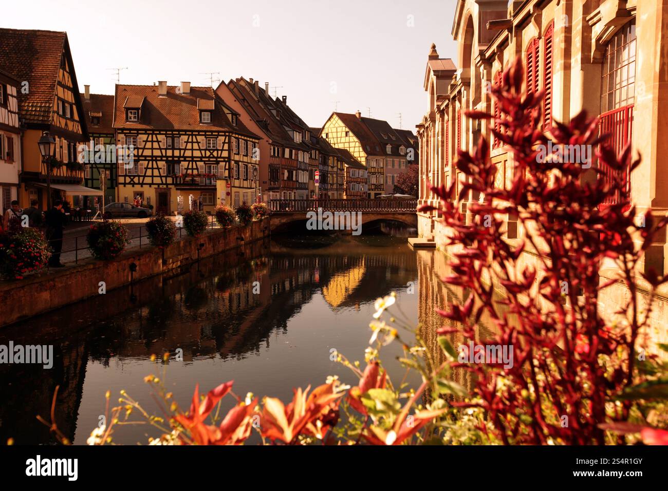 La città vecchia di Colmar nella provincia dell'Alsazia in Francia in Europa. EUROPA FRANCIA ALSAZIA Foto Stock