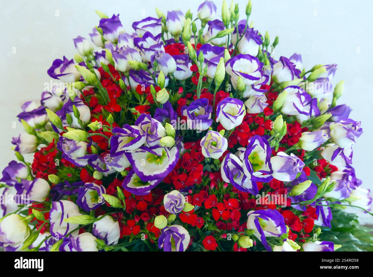 Big multicolor (bianco - rosa - rosso) splendida estate bouquet di fiori Foto Stock