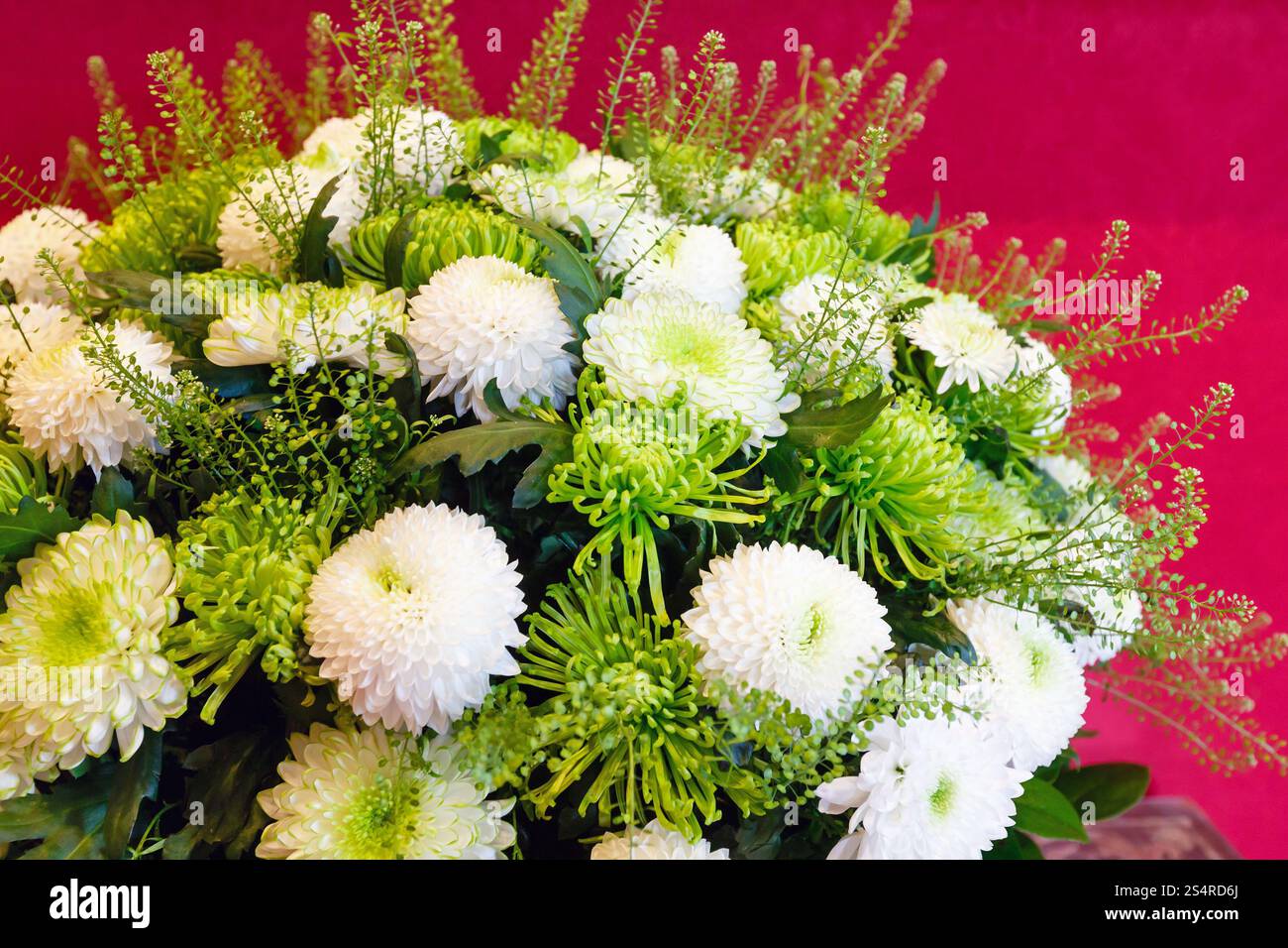 Bianco - Verde crisantemo estate bouquet di fiori su rosso Foto Stock