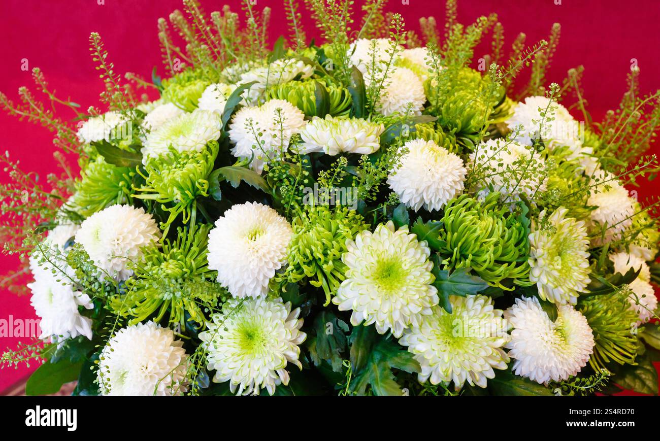 Bianco - Verde crisantemo estate bouquet di fiori su rosso Foto Stock