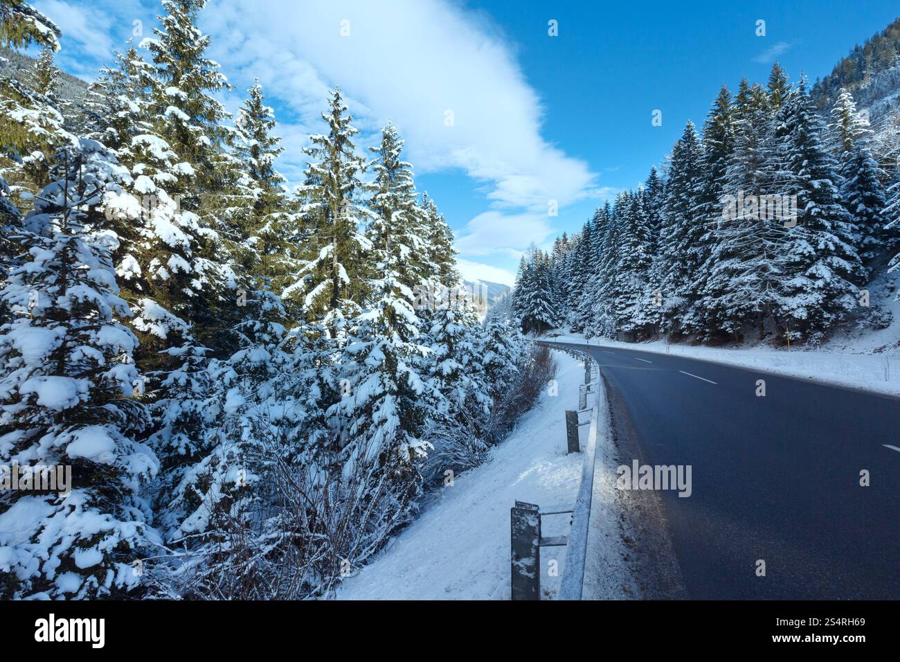 Abeti innevati sul lato della strada Foto Stock