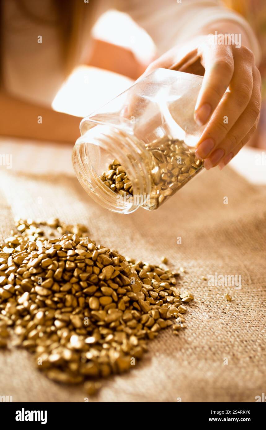 Primo piano del minatore si svuota il vaso con oro su tela Foto Stock