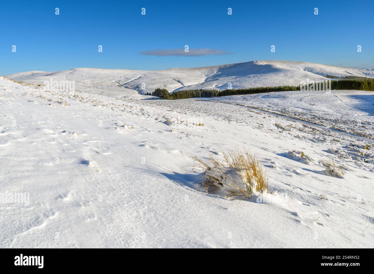 Monte Maw nella collina meridionale di Pentland, visto da Muckle Knock, Scozia Foto Stock