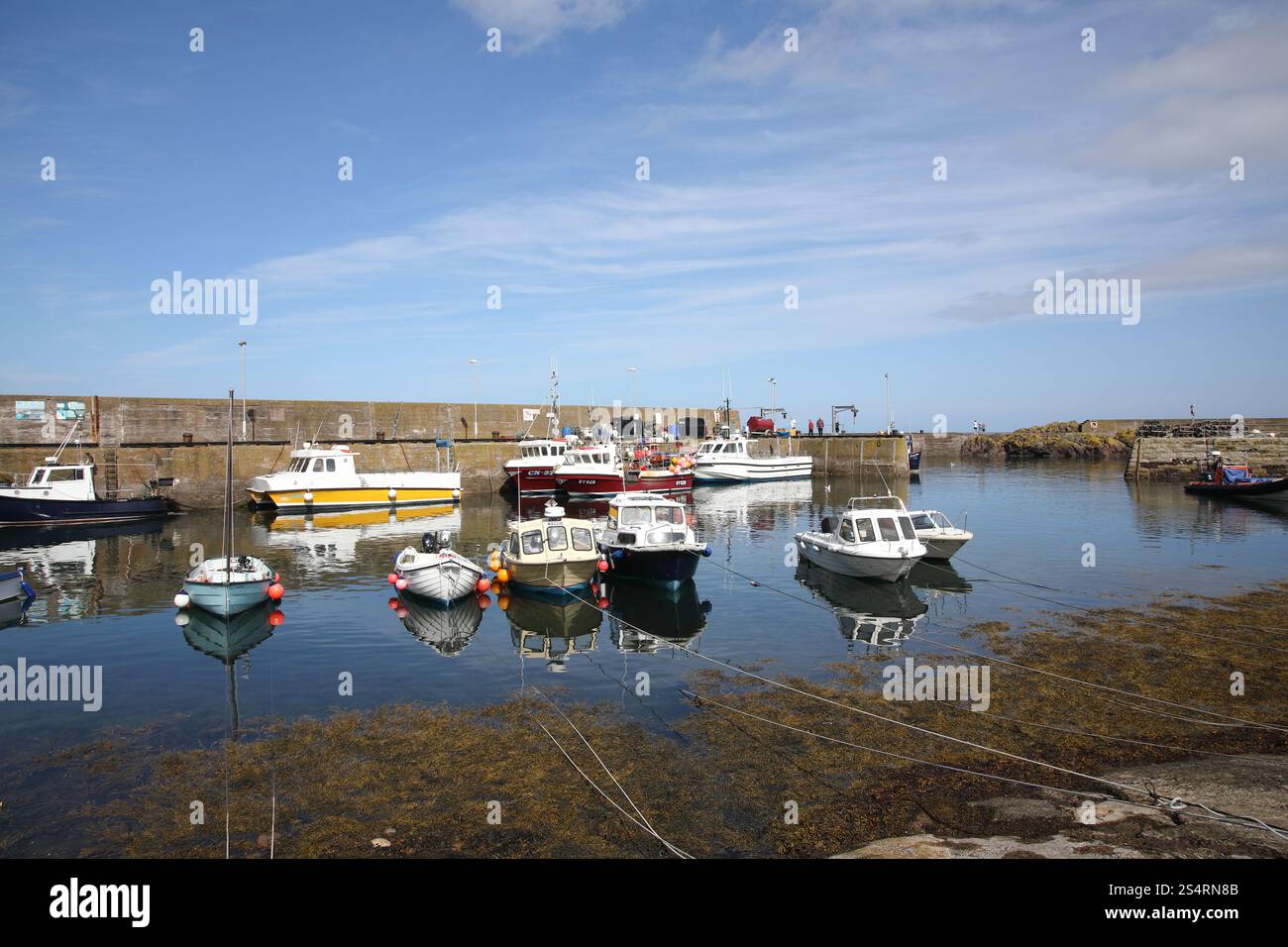 Porto di St Abbs Foto Stock