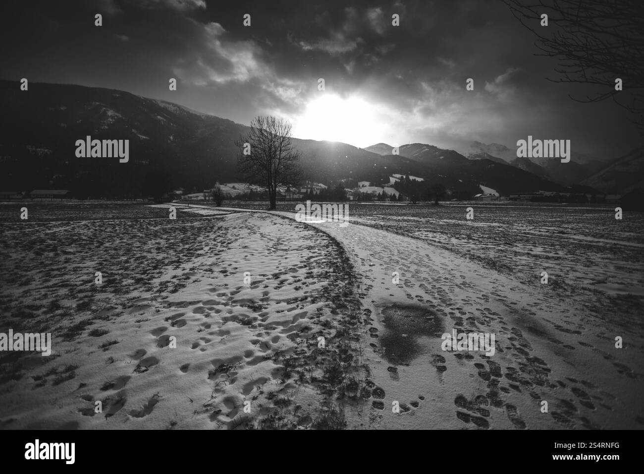 Bianco e nero paesaggio di strada innevata nelle Alpi al tramonto Foto Stock