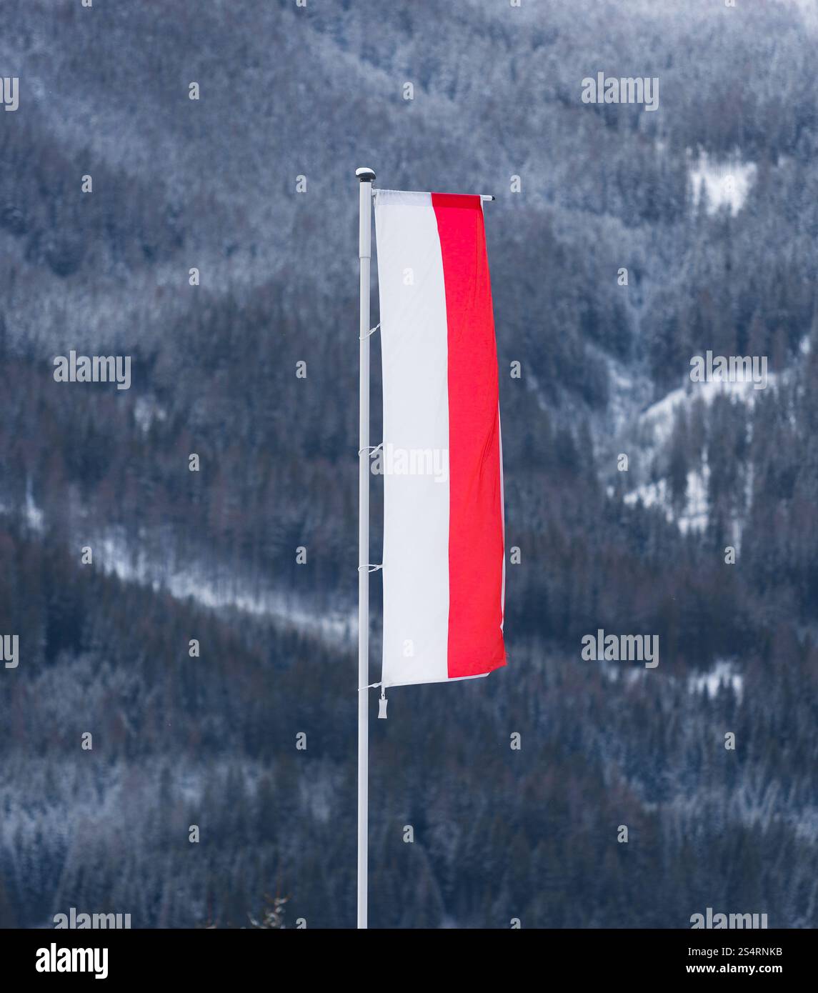 Bandiera polacca sventola sul vento contro di alta montagna coperta di neve Foto Stock