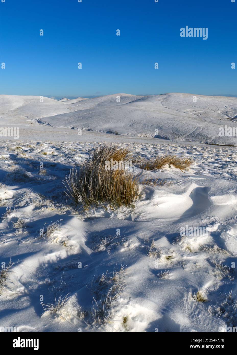 Guardando verso Wether Law, West Kip, Green Law, The Mount and Grain Heads da Muckle Knock nelle Pentland Hills in Scozia. Foto Stock